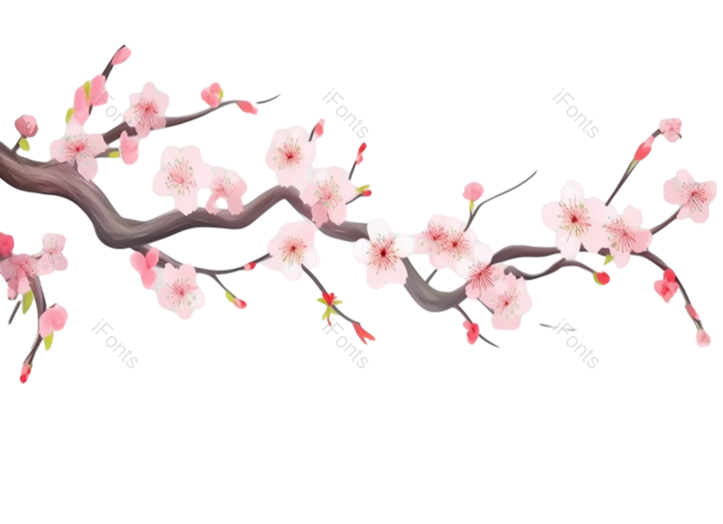 叶子图片,装饰元素,元素PNG,清新免抠素材